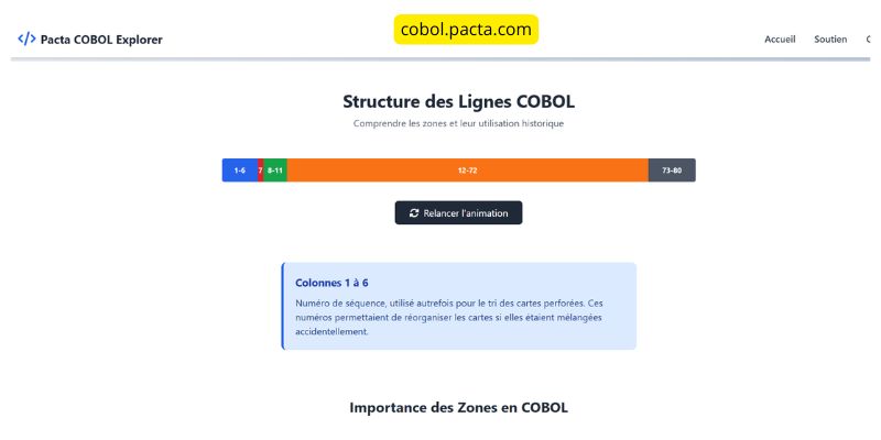 Structure des colonnes en Cobol
